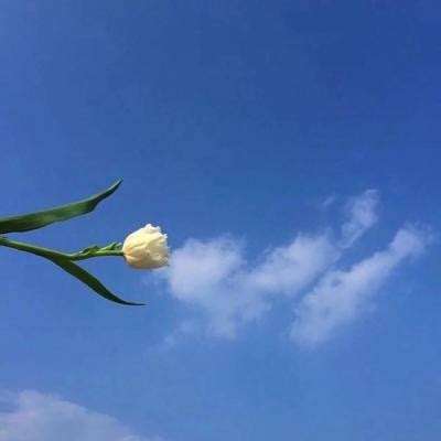 天师学院手游下载