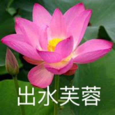 烈火之剑武器无限耐久下载